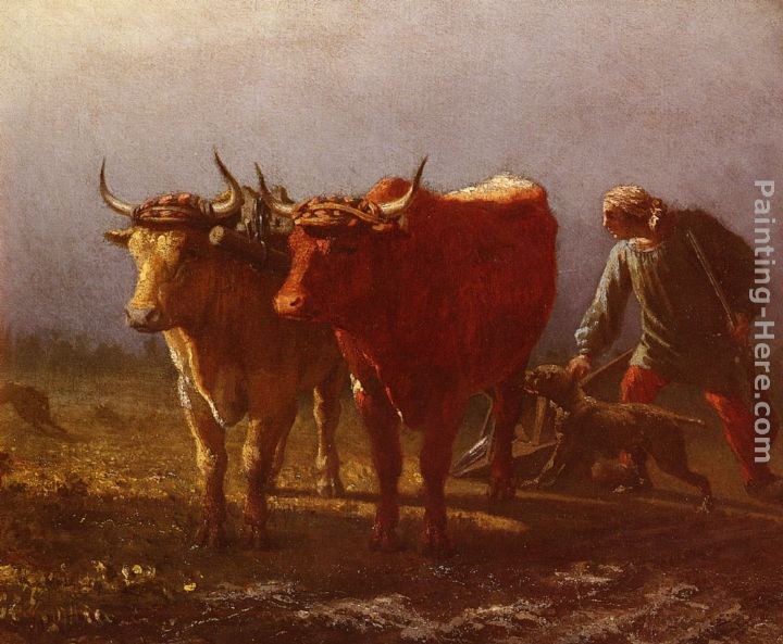 Constant Troyon Plowing